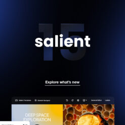 Salient | Creative Multipurpose & WooCommerce Theme