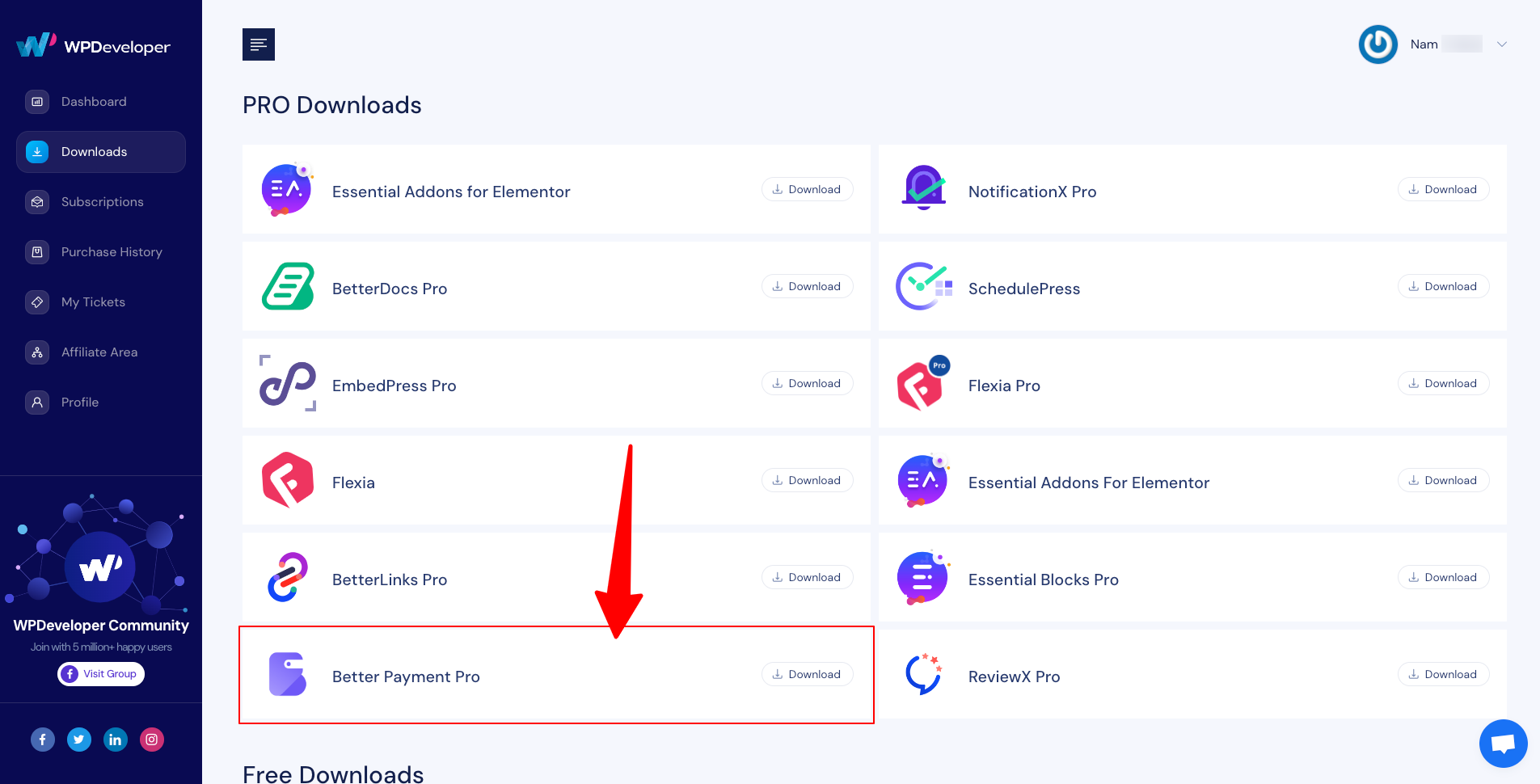 Better Payment Pro WPDeveloper-Powering-Up-WordPress-Experience-download