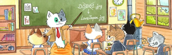 Media File Renamer Nulled