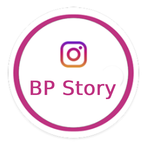 BP Story - Instagram Stories for WordPress
