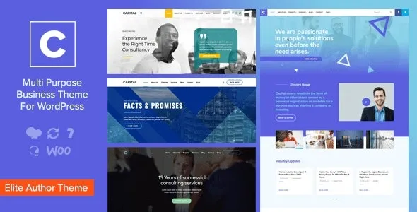 Capital Multi Purpose Business WordPress Theme Nulled 2