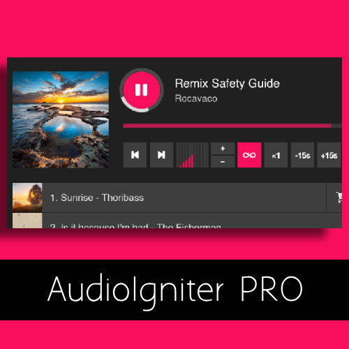 AudioIgniter PRO