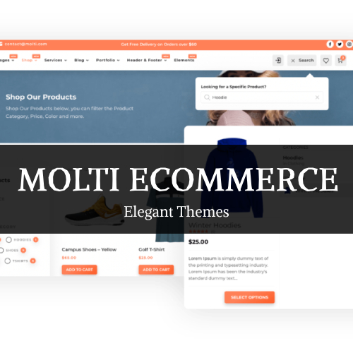 Molti Ecommerce – Elegant Themes