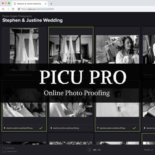 PICU Pro Online Photo Proofing with WordPress