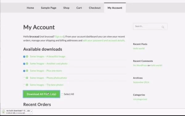 WooCommerce Bulk Download