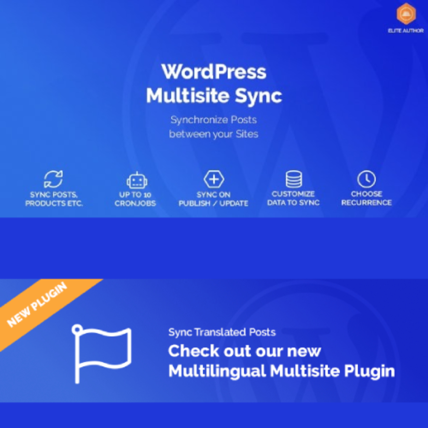 WordPress Multisite Sync
