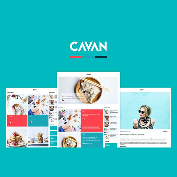 CAVAN – A Distinctive WordPress Blog Theme